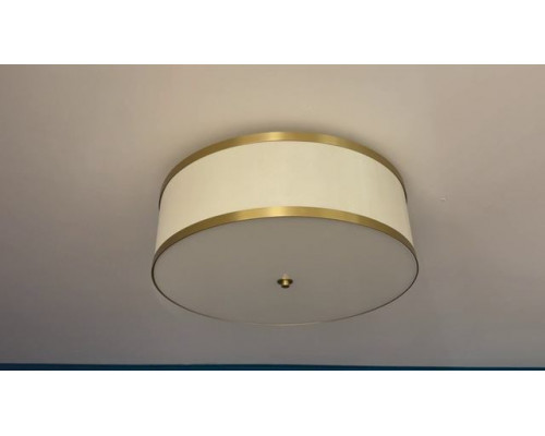 Потолочный светильник NEWPORT 3555/PL brass